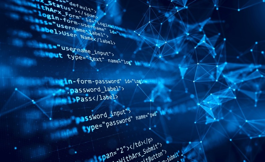 Software house Gdynia – tworzenie systemów IT